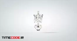 دانلود فوتیج اسکله بدن انسان 3D Rotating Anatomical Model Human Skeleton