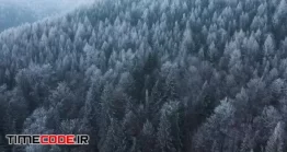 دانلود فوتیج جنگل در زمستان Flight Over A Fabulous Snow-covered Forest