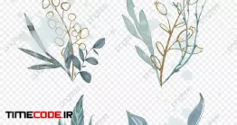 دانلود کلیپ آرت گل Splatter Decoration Luxury Plant Leaves Floral Elements