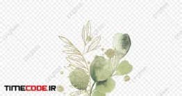 دانلود کلیپ آرت گل Luxury Golden Plant Flower Leaf Hand Drawn Elements