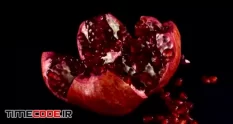 pomegranate 592308 37 50 941