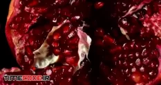 pomegranate 594814 41 51 224