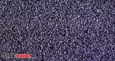 tv channel noise snows on tv screen interference 45896 28 26 936