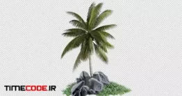 دانلود عکس درخت نخل Small Palm Plantation