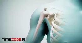 دانلود فوتیج پوکی استخوان Osteoporosis On The Humerus Animation