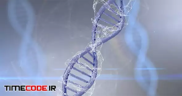 دانلود فوتیج ساختمان مولکول دی‌ان‌ای Plexus Dna Strand 41363 – تایم کد