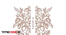 دانلود وکتور طرح قدیمی فریم گل Almond Nuts Ornament Vintage Frame Floral