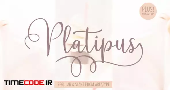 دانلود فونت انگلیسی اسکریپت