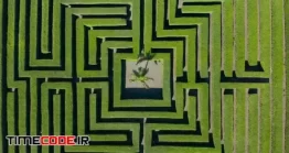 دانلود فوتیج هزار تو Aerial View Of A Labyrinth