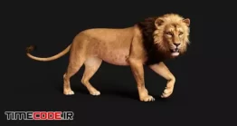 دانلود عکس شیر با زمینه سیاه 3d Illustration Of Dangerous Lion Acts