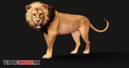 دانلود عکس شیر 3d Illustration Of Dangerous Lion Acts