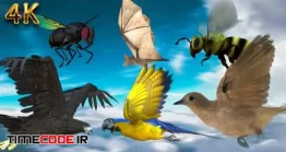 دانلود پکیج انیمیشن پرواز پرندگان بدون پس زمینه  Animals Flying Pack
