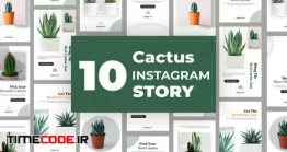 دانلود پروژه آماده افتر افکت : استوری اینستاگرام کاکتوس Cactus Instagram Story Pack