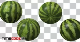 دانلود فوتیج آلفا هندوانه Watermelon