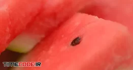 دانلود فوتیج هندوانه Watermelon