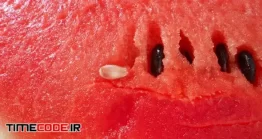 دانلود فوتیج ماکرو هندوانه Watermelon In Macro Video