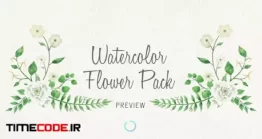 دانلود پروژه آماده افتر افکت : فریم برگ و گل Floral Watercolor Pack