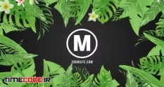 tropical themed logo reveal 940925 21 39 129