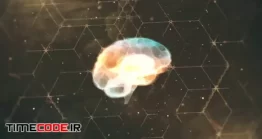 دانلود پروژه آماده افتر افکت : لوگو موشن مغز انسان Smart Brain Logo Reveal