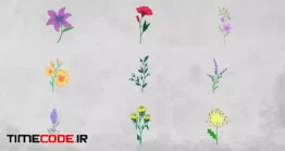 دانلود پروژه آماده افتر افکت : انیمیشن گل Flowers Elements