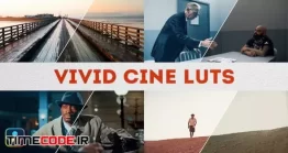 دانلود پریست رنگ LUT برای داوینچی ریزالو Vivid Cine LUTs | DaVinci Resolve
