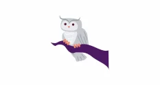 cute owl blinking sitting on branch 2d character 27666085 cover 1