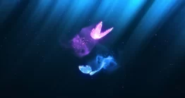 دانلود پروژه آماده افتر افکت : لوگوی موشن پروانه