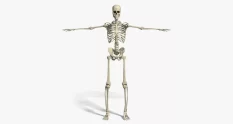 skeleton with outstretched arms 42302 cover 1