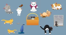 cartoon cat pack 37002 cover 1