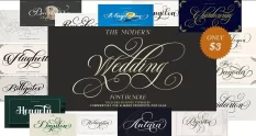 the modern wedding font bundle 2 42293 cover 1