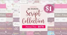 the script collection bundle 34689 cover 1