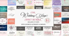 the wedding script font bundle 2 24628 cover 1