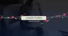 wedding lower thirds 599388 cover 1