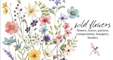wild flowers butterflies and dragonfly 27106 cover 1