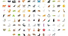 100 animals and birds animated icons 45798 cover 1
