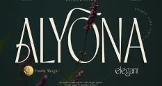 Alyona 291126084 cover 1