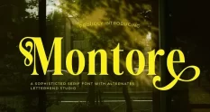 Montore Sophisticated Serif 291133455 cover 1