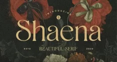 Shaena Beautiful Serif 291127328 cover 1