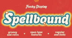VVDS Spellbound Groovy Display 7420191 cover 1