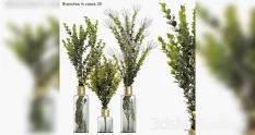 branches in vases 39 28735 cover 1