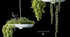 chandelier plant pot 8700 cover 1