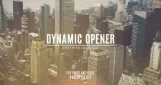 dynamic opener 44252 cover 1