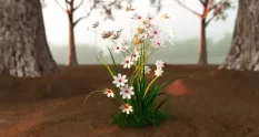 flower spring blooming 4k 35634 cover 1