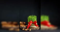 front view green semeni with red bow nuts walnuts 14225635 cover 1