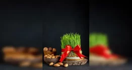 عکس سبزه عید و آجیل