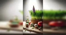 macro photorealistic still life nowruz essentials 404030552 cover 1