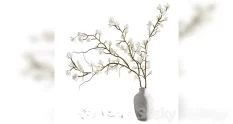 plants collection set 9 32109 cover 1