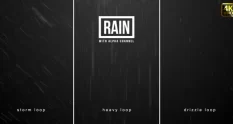 rain 29045 cover 1