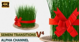 ترانزیشن سبزه عید