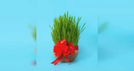 عکس سبزه عید